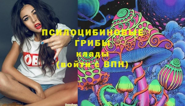 гидра Сатка