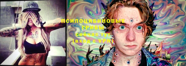 первитин Саяногорск